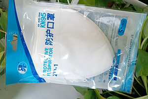 抗菌抗病毒KN95防护 石头口罩